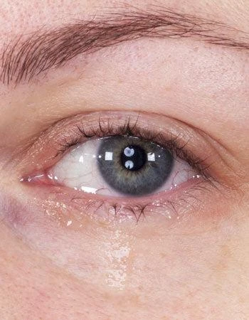 Kryolan Tear Blower 3 Kryolan Tear Blower - Image 3