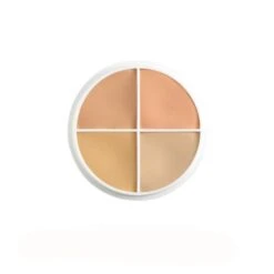 Ben Nye Special Color Wheel 21 Ben Nye Special Color Wheel -Camera Ready Cosmetics 10614 zoom 1439403305