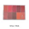 Maqpro Lip And Rouge Palette PP18