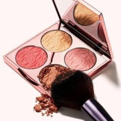 By Terry Brightening CC Palette Sunny Flash 12 By Terry Brightening CC Palette Sunny Flash -Camera Ready Cosmetics 12508624 1974924712010759