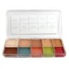 Skin Illustrator Flesh Tone Palette