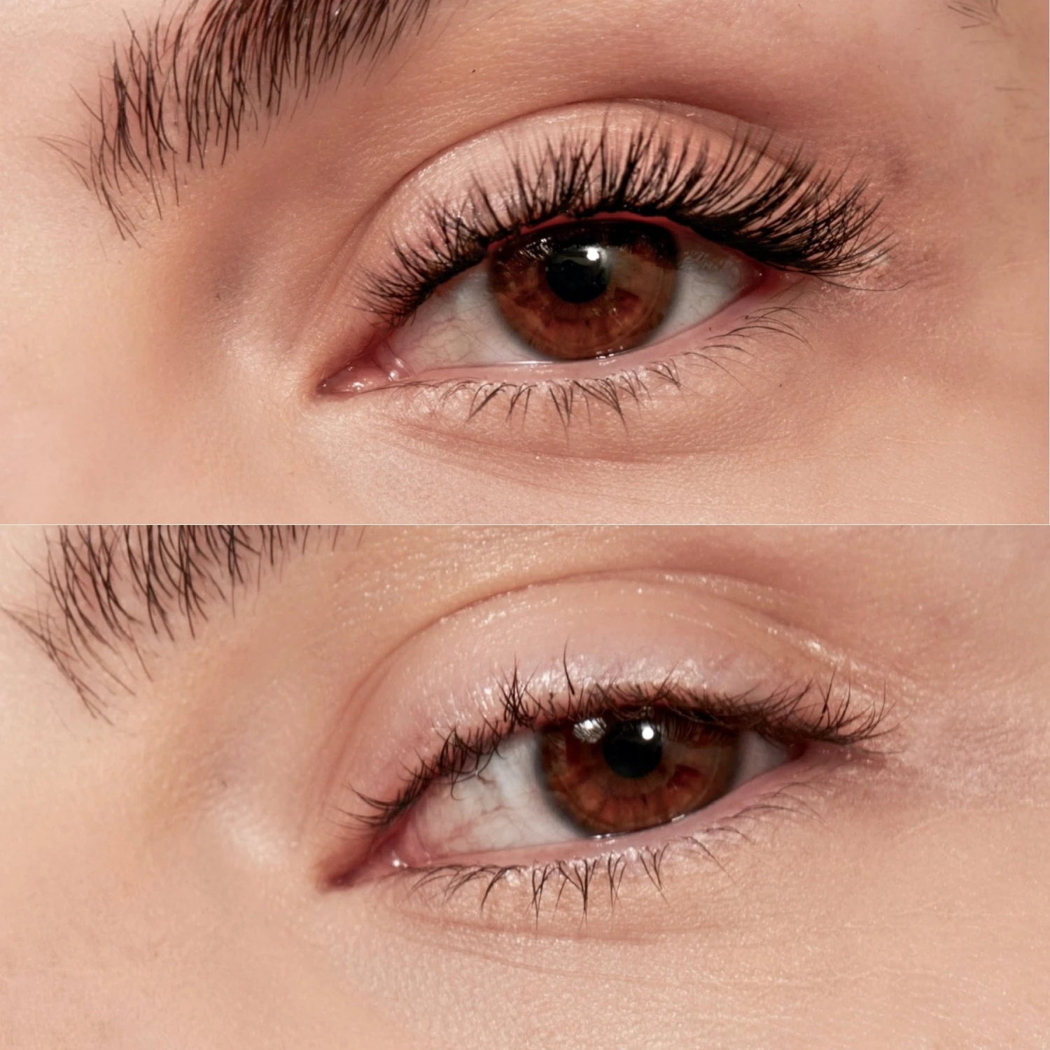 Lash Lash 'Maye 8' Individual Lashes 3 Lash Lash 'Maye 8' Individual Lashes - Image 3