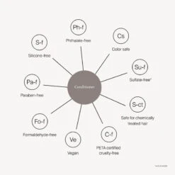 Living Proof Curl Conditioner -Camera Ready Cosmetics Curl Conditioner PROMISE DESK RTNA