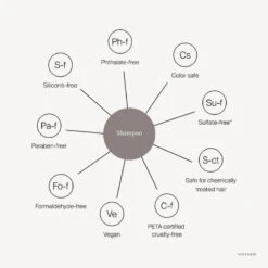 Living Proof Curl Shampoo 7 Living Proof Curl Shampoo -Camera Ready Cosmetics Curl Shampoo PROMISE DESK RTNA