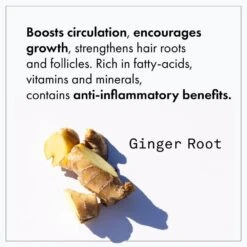 Fekkai Apple Cider Detox Detangling Rinse -Camera Ready Cosmetics FF Web PDP ACD Rinse 2 optimized 1000x 1bb08160 fb07 4187 a962 1d9967a1599f