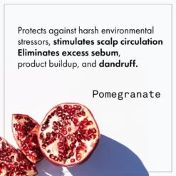 Fekkai Apple Cider Detox Shampoo -Camera Ready Cosmetics FF Web PDP ACD Shampoo 4 optimized 1000x 2c08a24e 410f 409f 91bd 55abf9d022d7