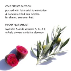 Fekkai Brilliant Gloss - Glass Hair Anti Frizz Oil Serum -Camera Ready Cosmetics FF Web PDP BGOil 5 1000x 2df09971 6f7a 45fa a158 e871cf00e777