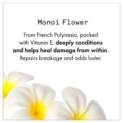 Fekkai Shea Butter Curl Refresher 7 Fekkai Shea Butter Curl Refresher -Camera Ready Cosmetics FF Web PDP Shea Conditioner3 optimized 1000x f2a63975 069b 43d9 bc7b a13ac891e91b