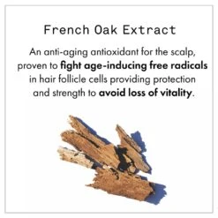 Fekkai Full Blown Volume Conditioner 15 Fekkai Full Blown Volume Conditioner -Camera Ready Cosmetics FF Web PDP Shea Conditioner5 optimized 1000x 5c5d97f9 e7cd 4630 8660 05dc6f7c22df