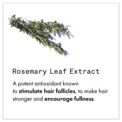 Fekkai Full Blown Volume Dry Texturizing Spray 12 Fekkai Full Blown Volume Dry Texturizing Spray -Camera Ready Cosmetics FF Web PDP Shea Tex3 1000x 1714e2c6 6203 4b50 96b0 8f750b4081ac