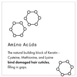 Fekkai Full Blown Volume Dry Texturizing Spray 15 Fekkai Full Blown Volume Dry Texturizing Spray -Camera Ready Cosmetics FF Web PDP Shea Tex6 1000x a34082f2 f8da 4d1b b85b a0cb132d2e0c