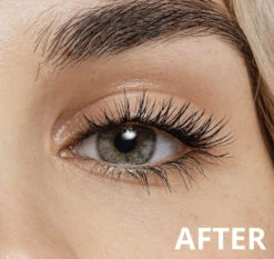 Lash Lash 'Mona' Individual Lashes -Camera Ready Cosmetics IMG 8534 2 1800x1800 1a602e14 d2a0 43e2 a831 7e41d9a31bcc