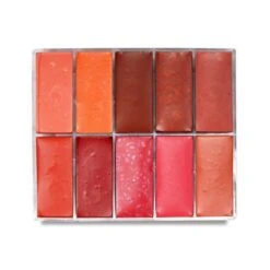 Maqpro Lip And Rouge Palette PP18 5 Maqpro Lip And Rouge Palette PP18 -Camera Ready Cosmetics Maqpro Fard Creme Palette PP18 07654.1396293283.600.600