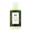 R+Co Super Garden Conditioner