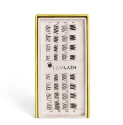 Lash Lash Sophia Lash Slices