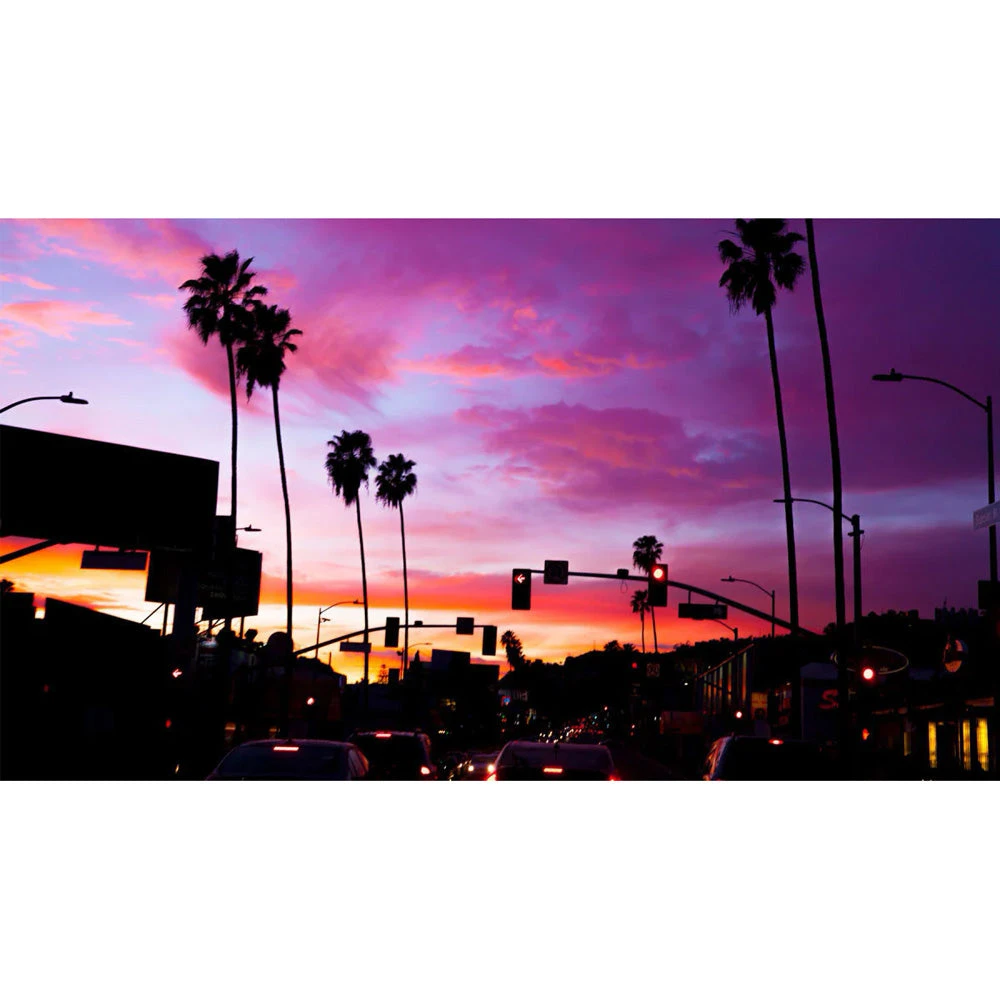 R+Co Sunset Blvd Daily Blonde Shampoo 2 R+Co Sunset Blvd Daily Blonde Shampoo - Image 2