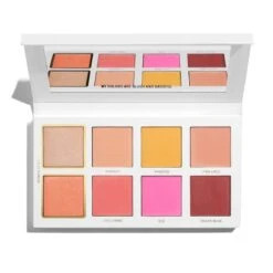 Scott Barnes Chic Cheek N°1 Blush Palette