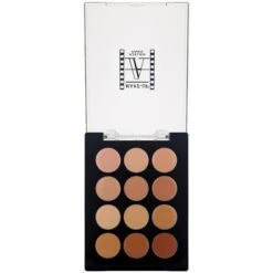 Make-Up Atelier 12 Color Concealer Palette (P12C/A)