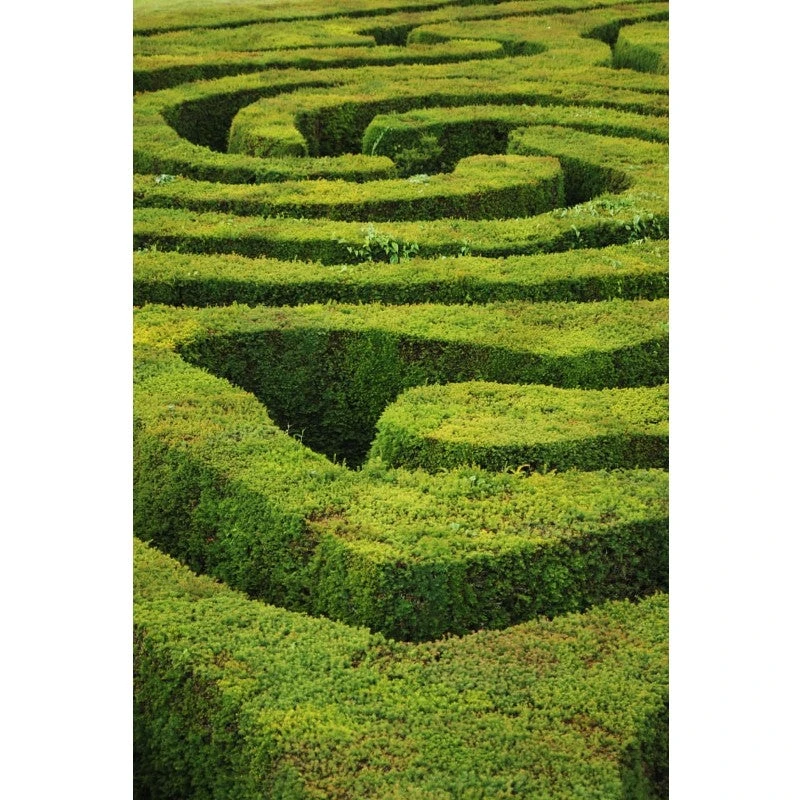 R+Co Labyrinth 3-In-1 Texturizing Shampoo + Conditioner + Styler 2 R+Co Labyrinth 3-In-1 Texturizing Shampoo + Conditioner + Styler - Image 2