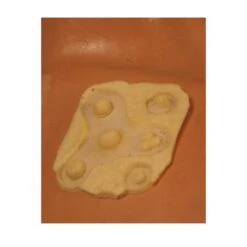 Rubber Wear Warts, Moles, Pimples Foam Late Prosthetic (FRW-042)