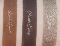 Sydney Grace Unbreakable Bond Eyeshadow Palette -Camera Ready Cosmetics unbrakable bondLight Swatches Row 3
