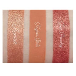 Sydney Grace Unbreakable Bond Eyeshadow Palette -Camera Ready Cosmetics unbreakable bond Swatches Row 2