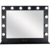 Just Case Dimmable 12 LED Lighted Vanity Mirror (VL004)